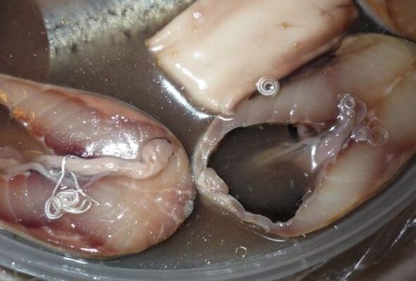 rotas de infecção humana por parasitas