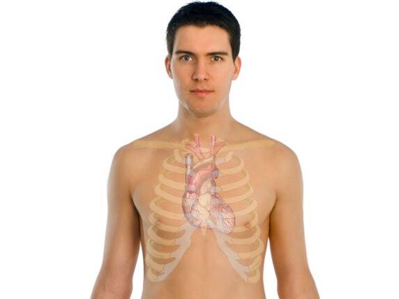 como os parasitas afetam os órgãos humanos