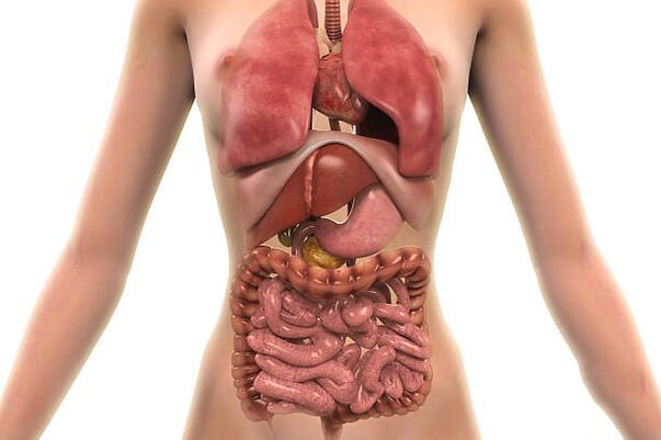 parasitas no corpo humano