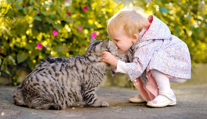 uma criança beija um gato e fica infectada com vermes