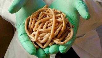 Métodos de eliminação de parasitas do corpo
